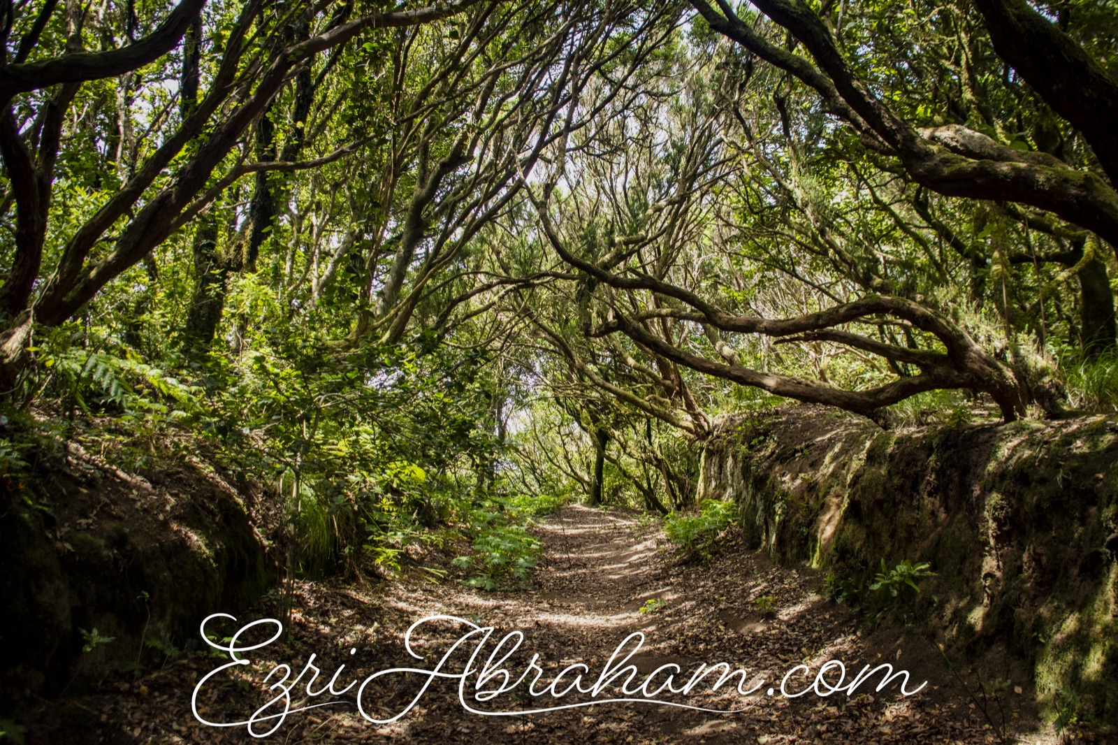Landscape photography